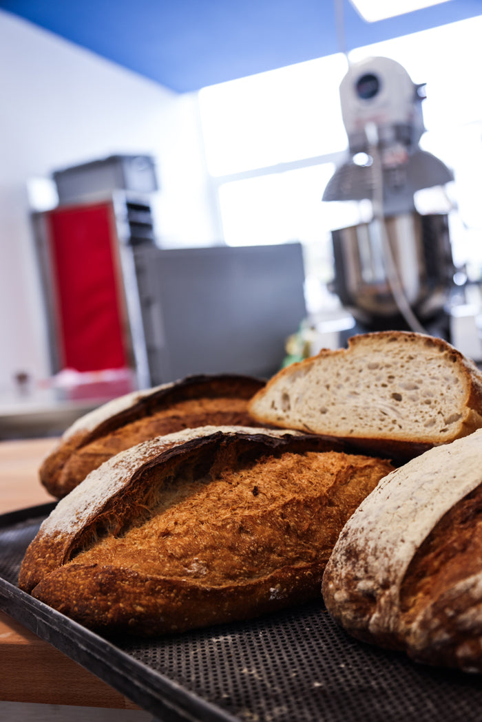 Ein Schwarzes Bäckereiblech mit 3 ganzen und einem halben Sauerteigbrot. Im Hintergrund steht eine große Kückenmaschine und ein roter Stickenwagen. Das Sauerteigbrot ist goldbraun gebacken.