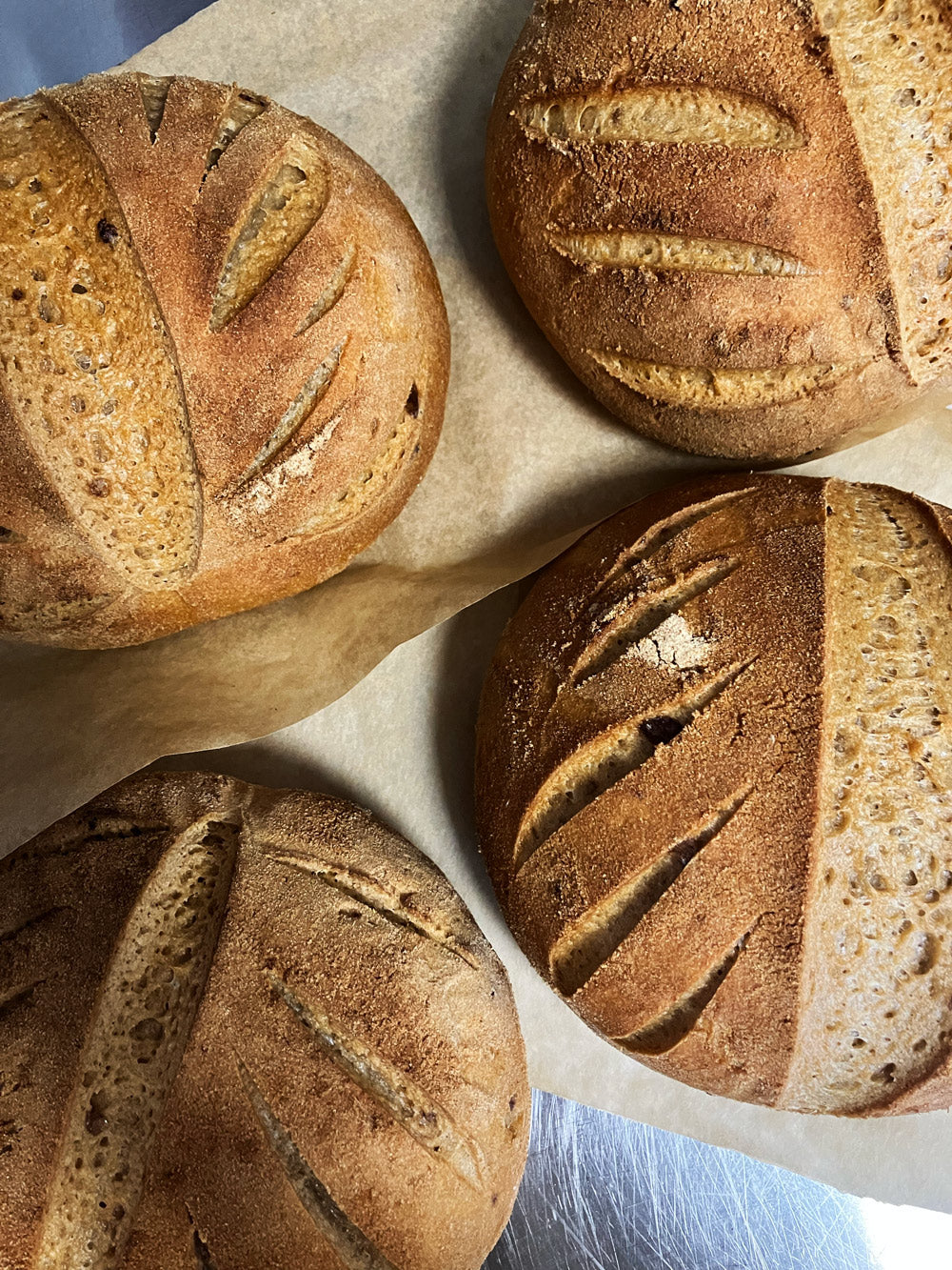 Vier Glutenfreie Sauerteigbrote in der Glutenfreien Backstube auf einem Metalltisch präselntiert. Die Brote sind Dekorativ eingeschnitten udn goldbraun gebacken.