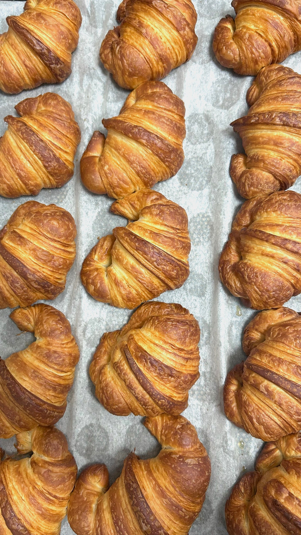 Buttercroissants auf Backblech